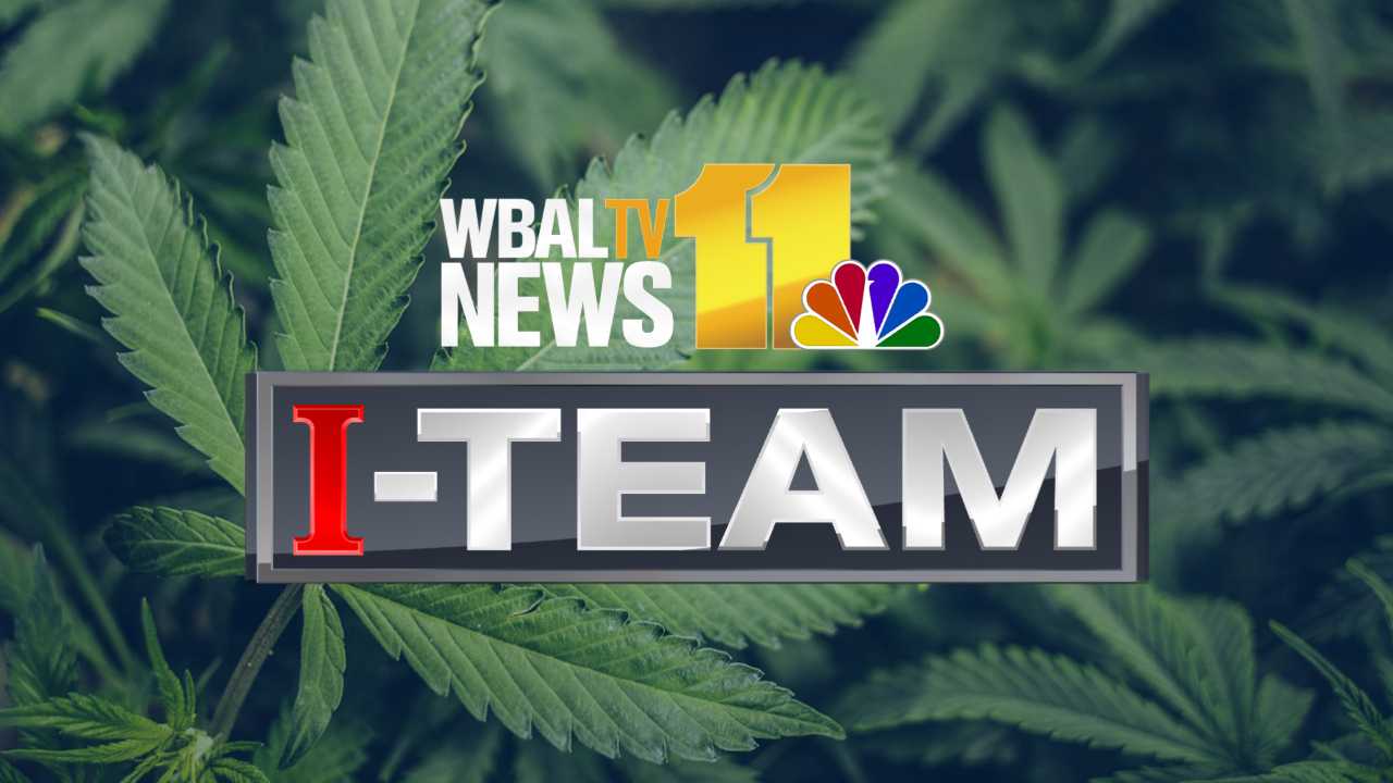 Marijuana ballot question: The compelling arguments from both sides