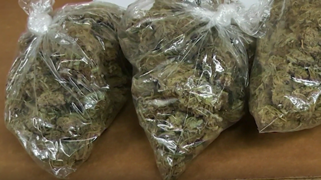Police find 400 pounds of pot after Indiana traffic stop - Vimarsana News
