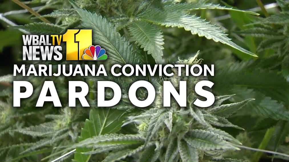 Governor makes historic marijuana pardons in Maryland