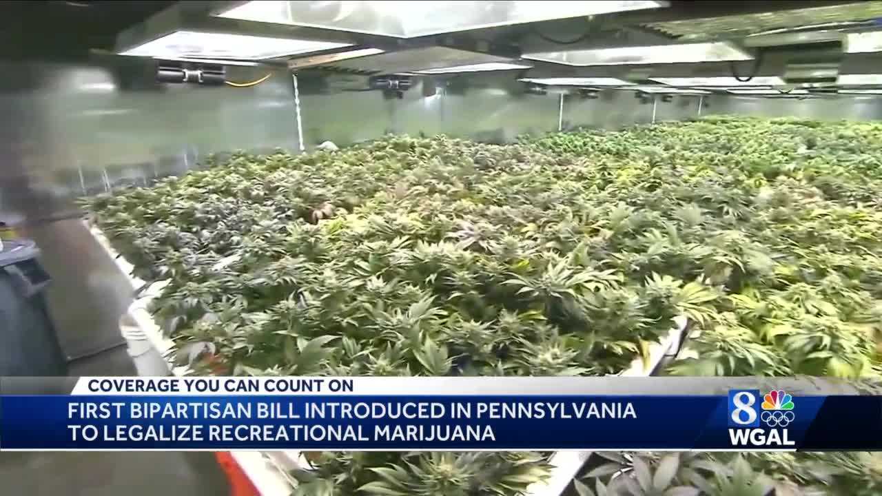 MARIJUANA LEGALIZATION Gets First GOP Sponsor In Pennsylvania