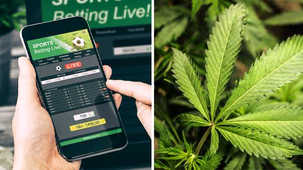 Where do sports wagering and medical marijuana stand in 2023 in Kentucky? - Vimarsana News