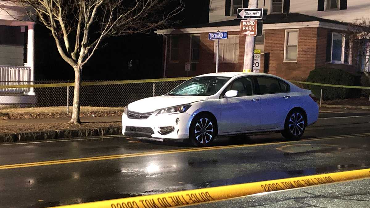 Woman critically injured, dogs killed after being struck by vehicle