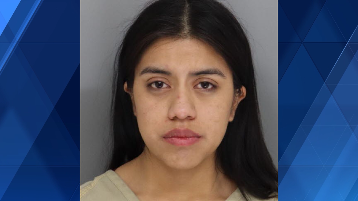 Court docs: 21-year-old mother accused of driving drunk with young ...