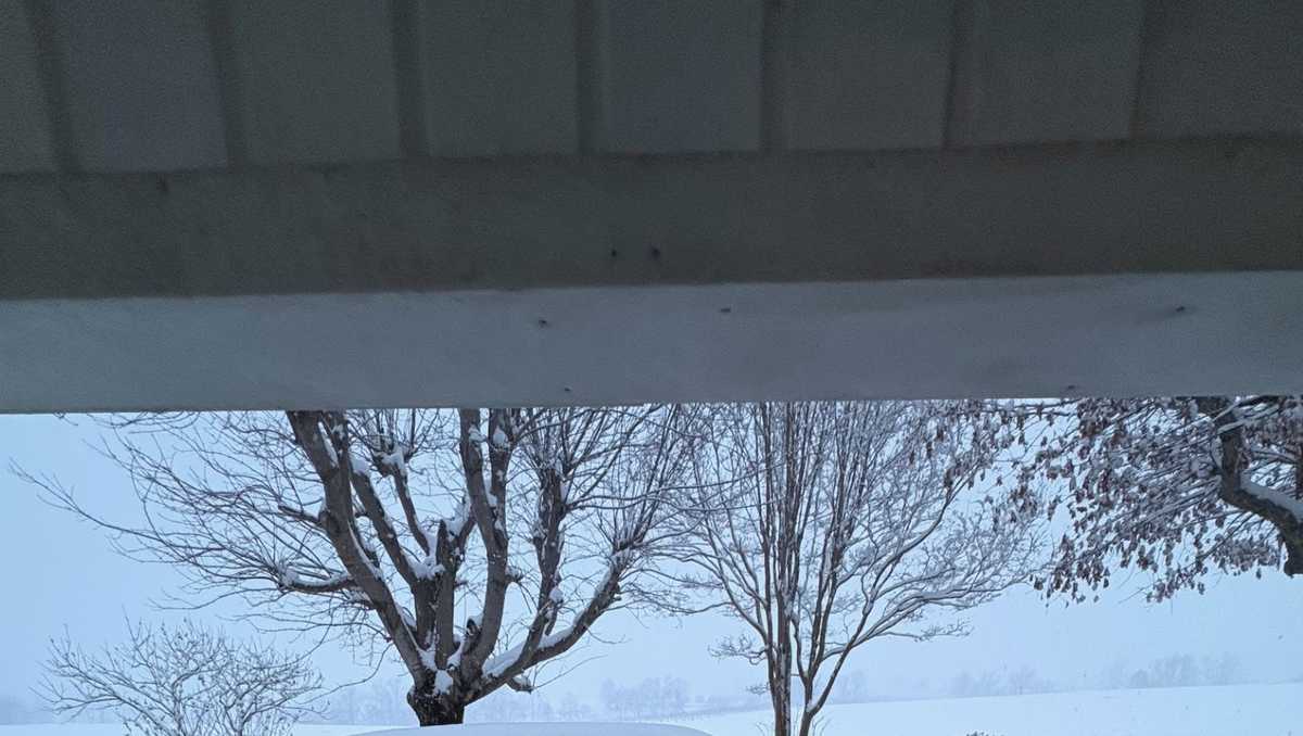 Snowstorm in North Carolina: View photos and videos here