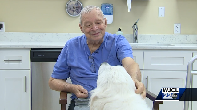 Hilton Head therapy dog spreading smiles and joy after being abandoned, tangled in barb wire - Vimarsana News