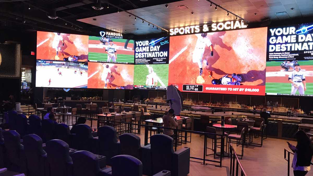 Live Casino gets a new venue ready for sports betting - SportsBeezer