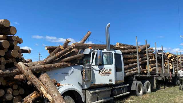Mainer says sneezing fit caused him to lose control of log truck, police say - Vimarsana News