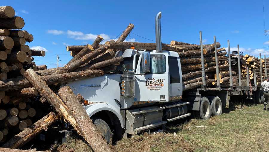 Sneezing fit blamed for log truck accident in Masardis
