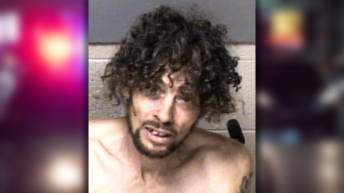 Suspect arrested after driving stolen vehicle into oncoming traffic, fleeing police