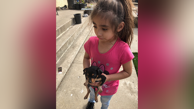 'I just want her back': Family searches for girl who fell into ...