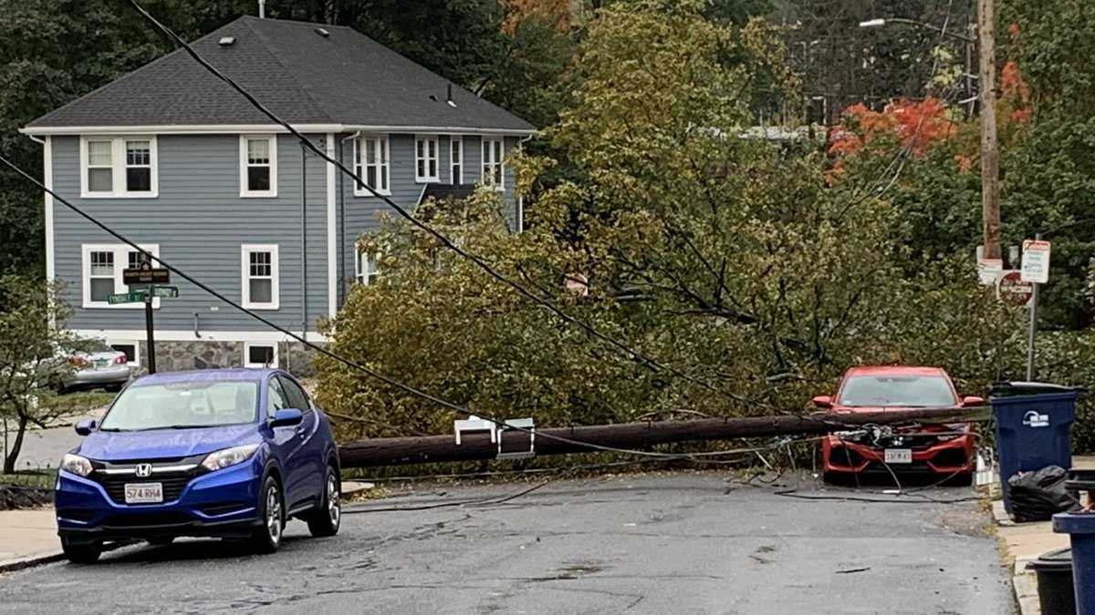 Images: Storm downs trees, power lines