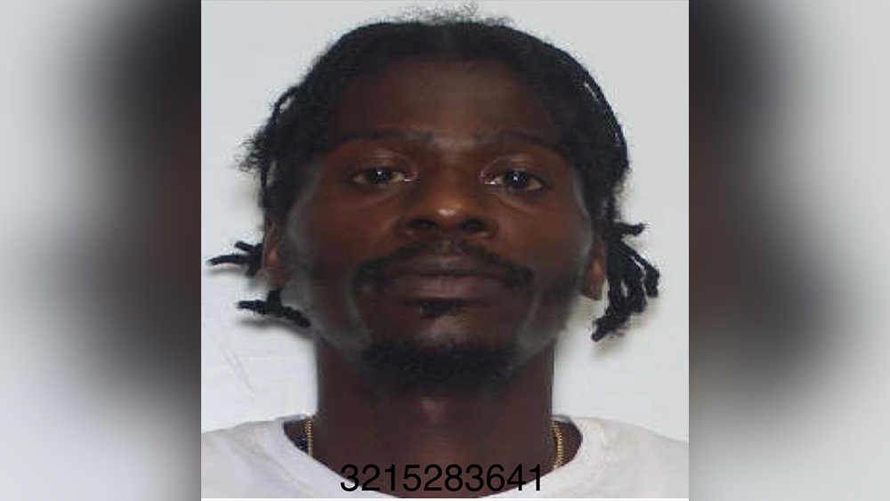 Police in South Carolina warn of murder suspect on the run - WJCL
