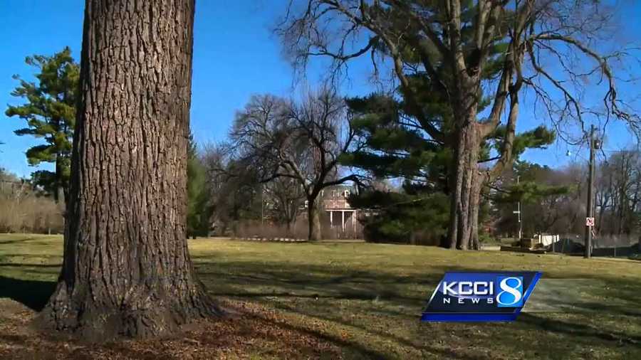 City of Des Moines again offering free trees to residents