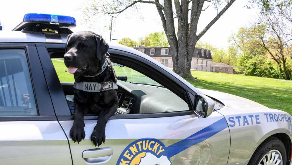 Kentucky State Police Welcomes New K9 Officer May