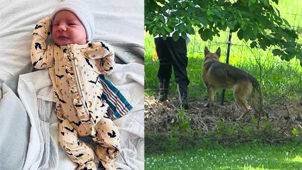 8-month-old baby missing: Police search cemetery with cadaver dogs - Vimarsana News