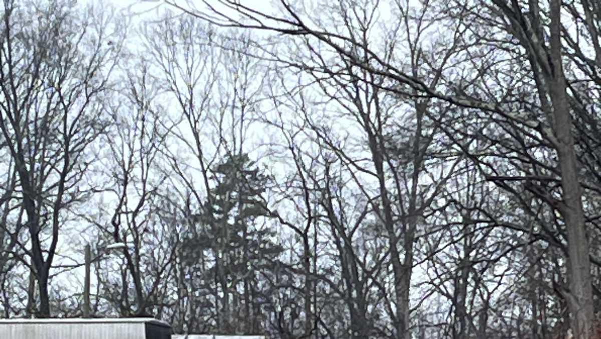 Arrest made after body found at South Carolina home