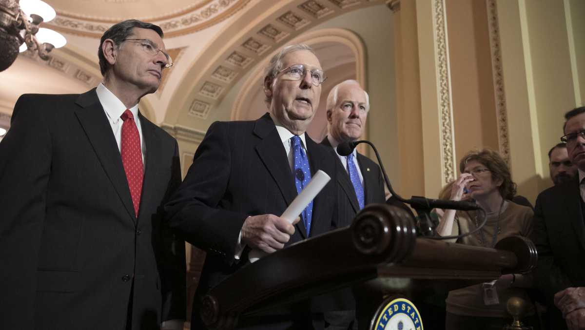 Senate Majority Leader McConnell: No new witnesses for impeachment trial