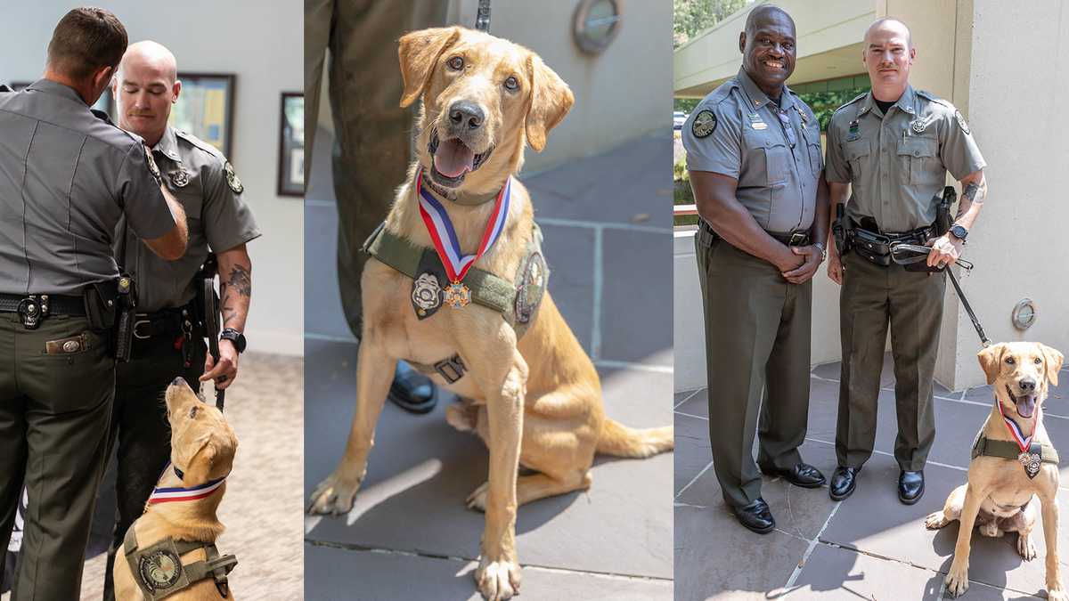MDWFP conservation officer and K-9 partner awarded Medal of Valor