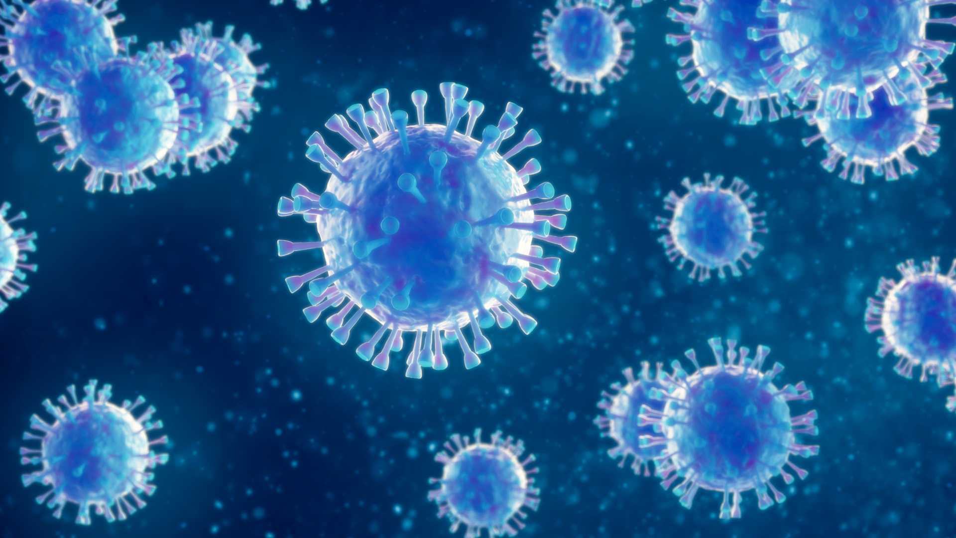 wyff4.com - Chloe McCoy - NCDPH: Hotel guests possibly exposed to measles during stay
