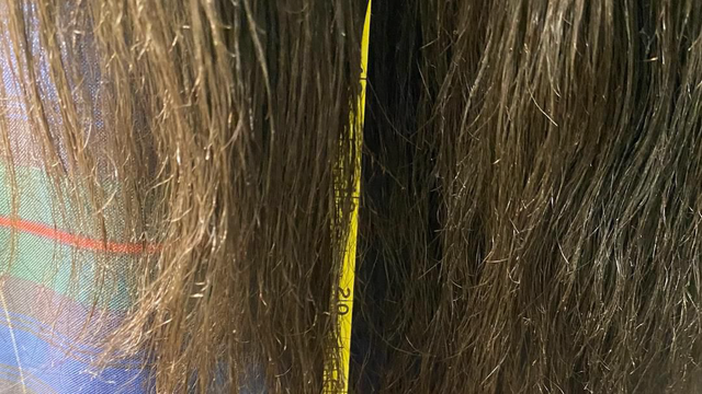 Lawsuit: Pa. child's rights were violated when private school staff cut hair to remove Velcro - Vimarsana News
