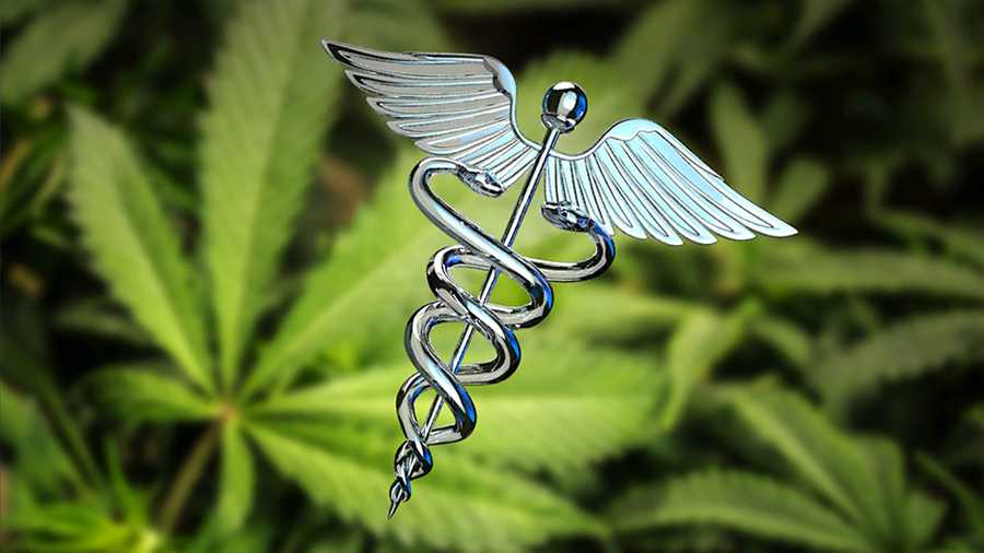 Medical Cannabis Doctor