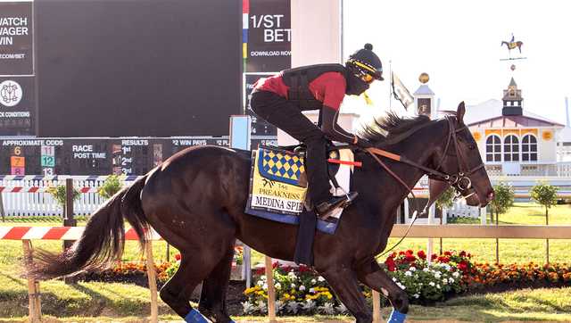 Medina Spirit's test results announced ahead of Preakness - Vimarsana News