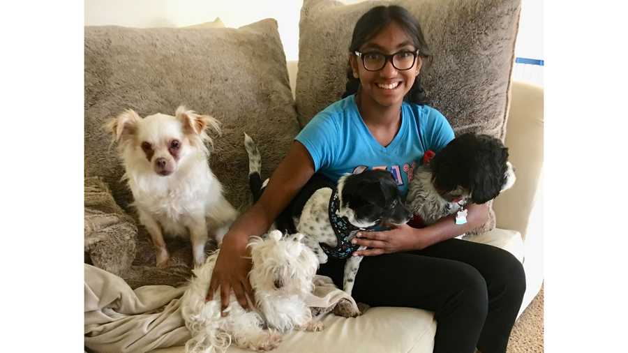 Meena Kumar hopes more people will adopt older mutts during the pandemic.