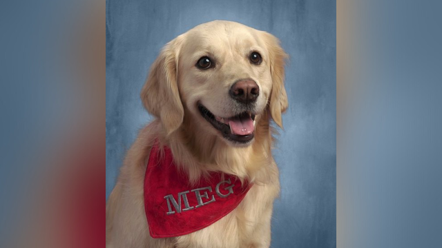 Ohio school's service dog poses for school picture - Vimarsana News