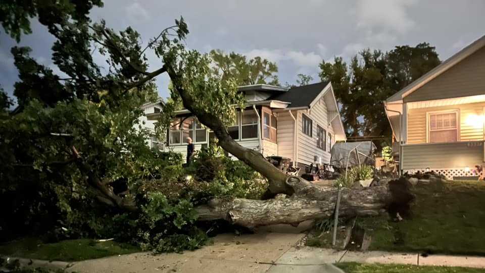 Viewers share pictures, videos of trees toppled over by Saturday night ...