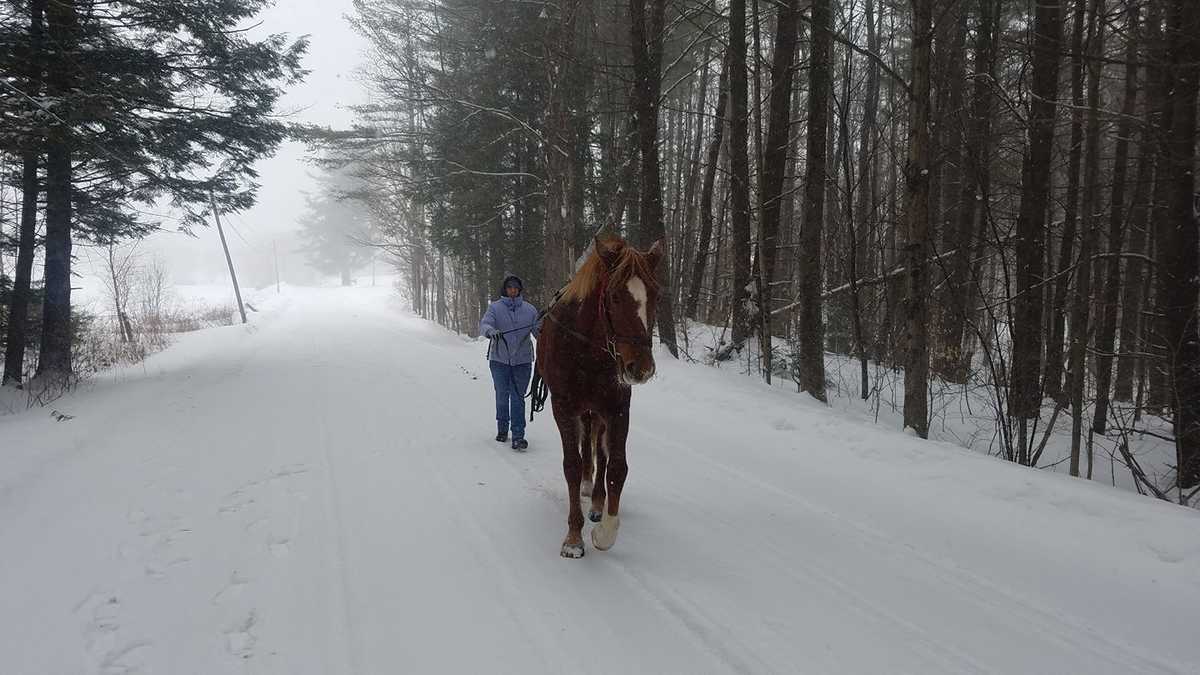 Granite Staters share photos from nor'easter Feb. 1213