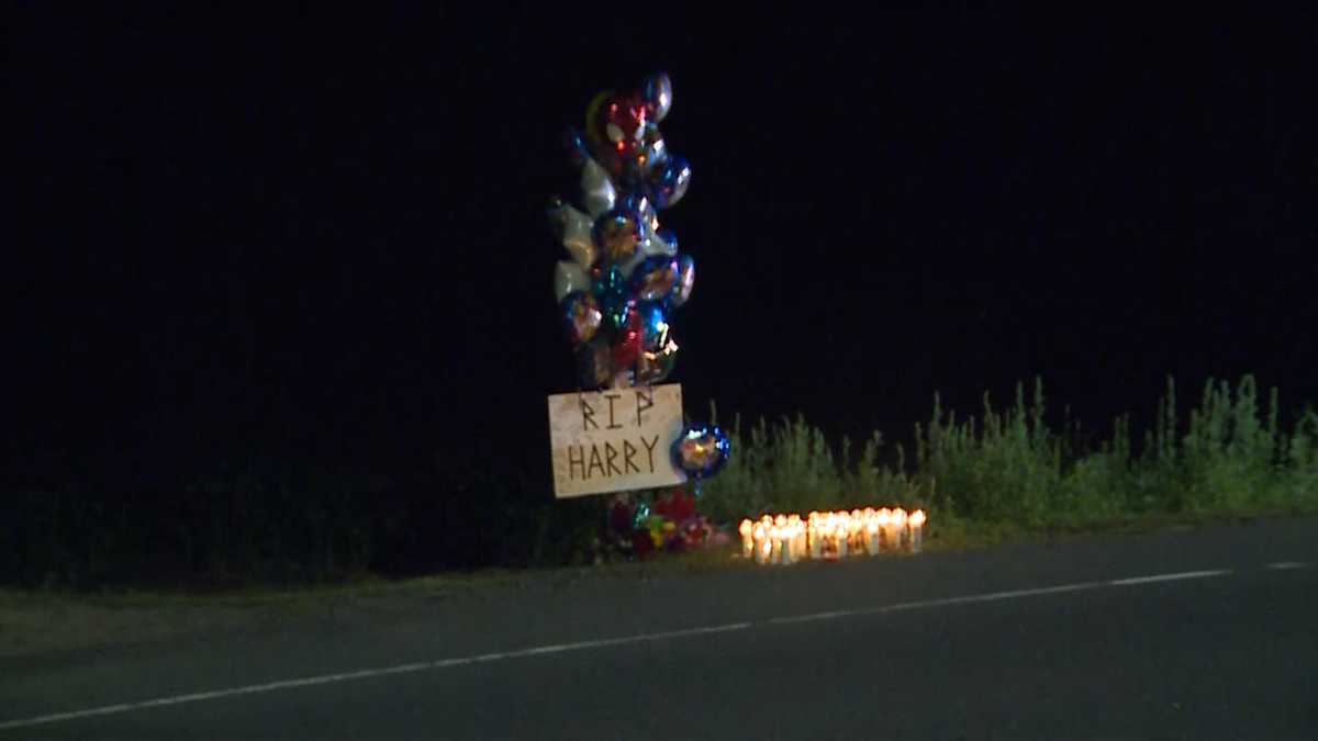 Body of missing 3-year-old boy found in pond, sources say