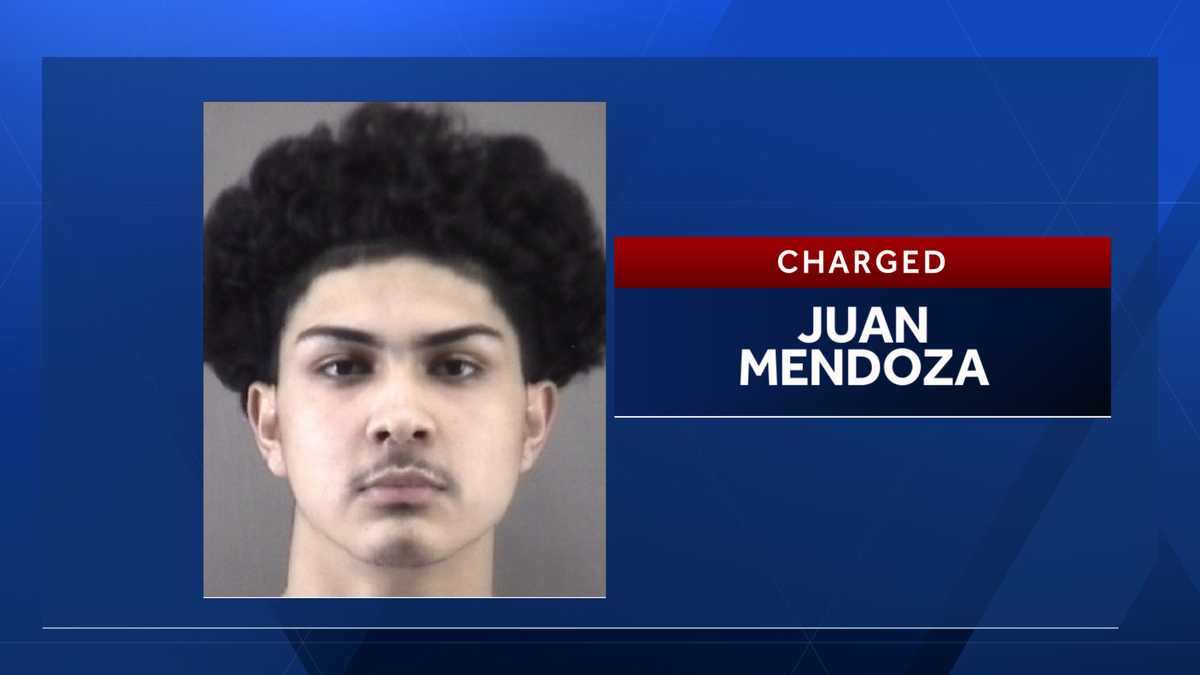 North Forsyth student charged with having gun on campus