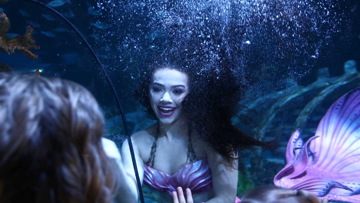 Mermaids have arrived at Kansas City's SEA LIFE Aquarium