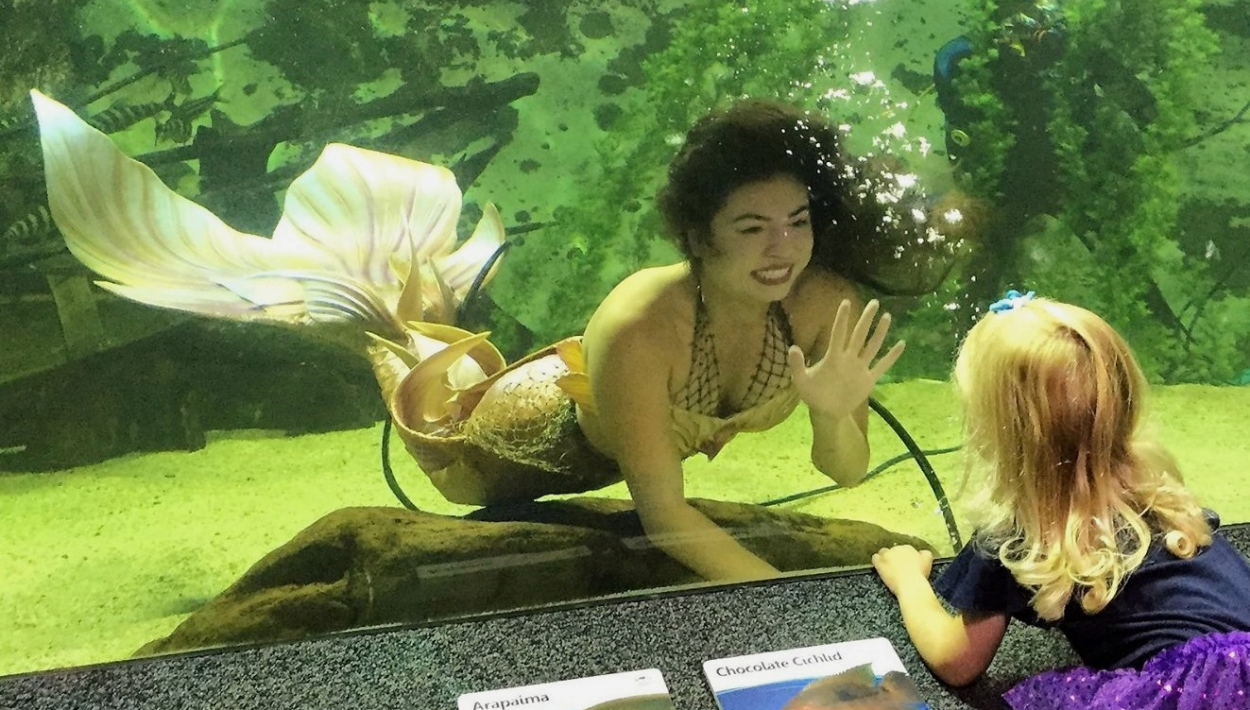 Mermaids splashing their way into Newport Aquarium this month