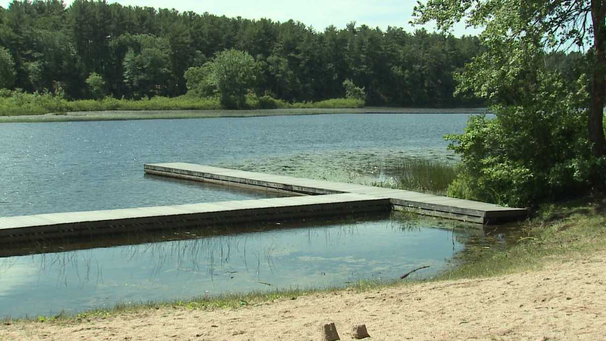 Merrimack police: Woman pushed dog into lake, let it drown