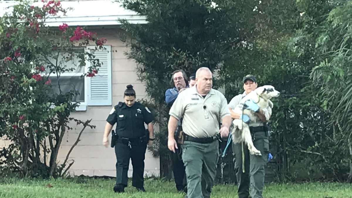 Dozens of pets killed in Merritt Island house fire