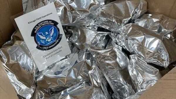 Customs officers in Louisville find $2.16M worth of meth hidden in rugs - Vimarsana News