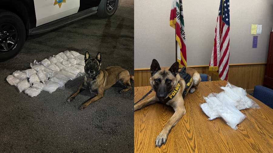 CHP uncovers 40 pounds of meth after traffic stop