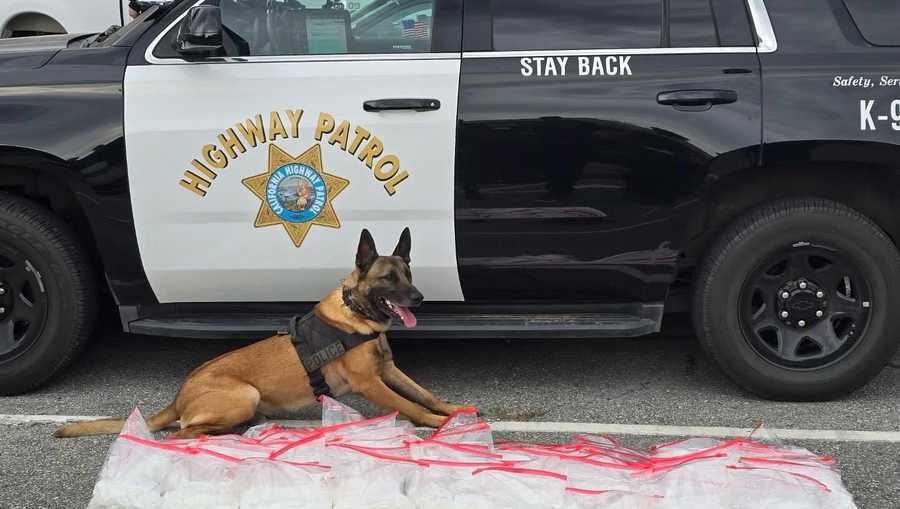 70 pounds of meth found during traffic stop near Hollister