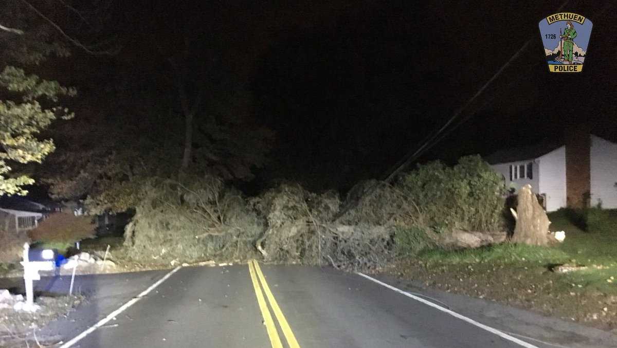 Thousands without power after gusty winds down trees, power lines