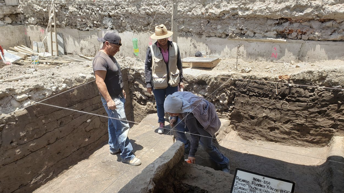 a legacy of roses - Arabian Horse Association, image size:1200x676