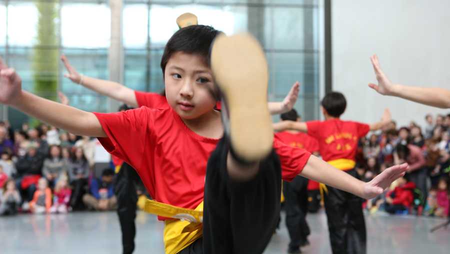 Lunar New Year celebrations at the Museum of Fine Arts