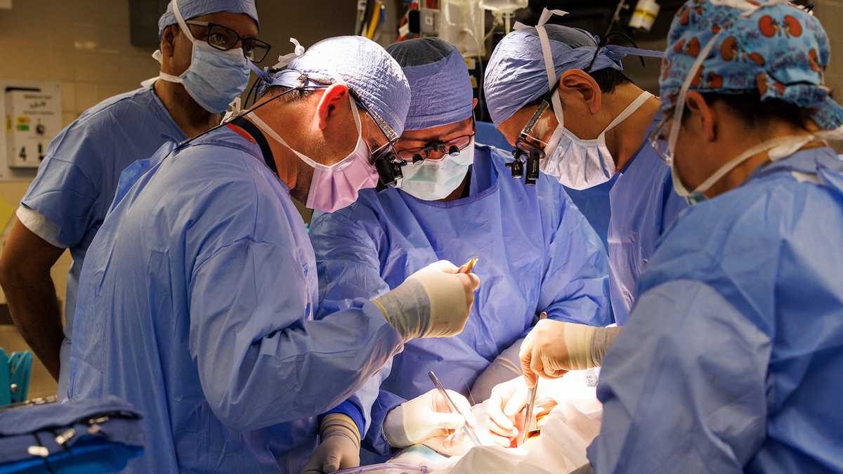 New Hampshire man has pig kidney removed after living with it for world-record length of time