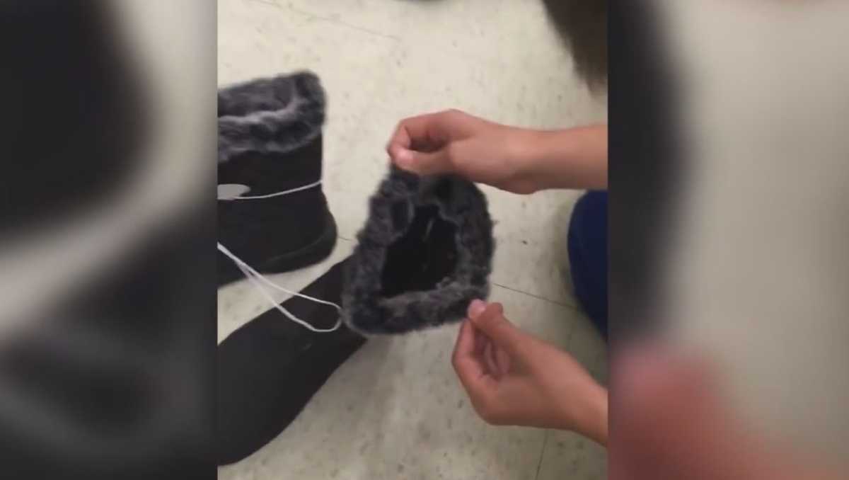 Family decides to keep mice that rolled out of boots at store