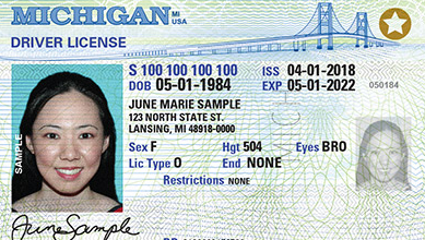 Sample of Michigan license