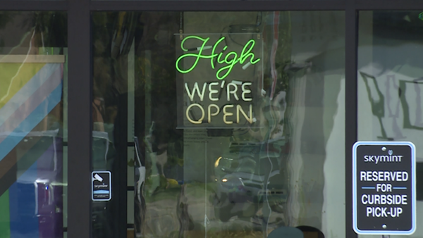 As Ohioans vote on marijuana, Michigan insiders discuss prospect of legalization south of their border - Vimarsana News