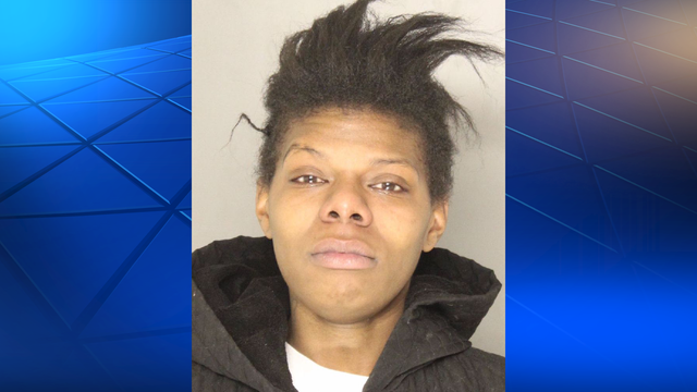 Pittsburgh mother faces charges after driver finds nearly naked child in Homewood