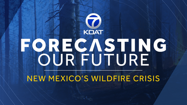Forecasting Our Future: New Mexico's Wildfire Crisis - Vimarsana News