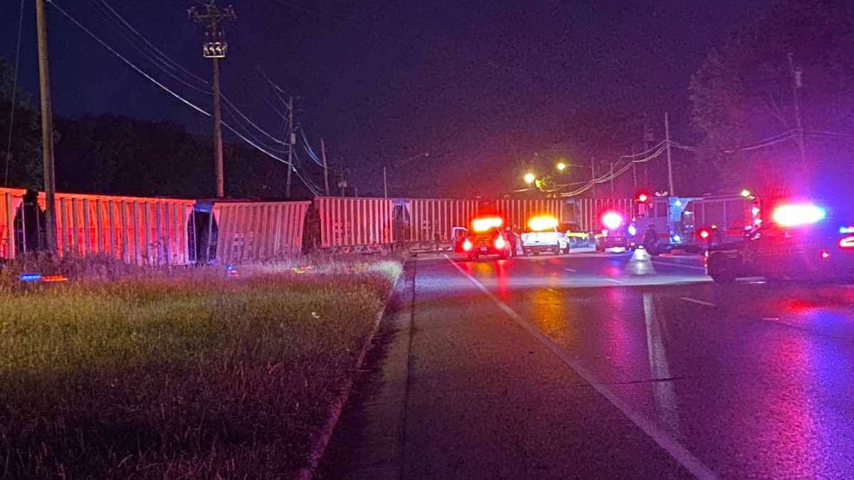 Train derailment shuts down busy road in Whitewater Township