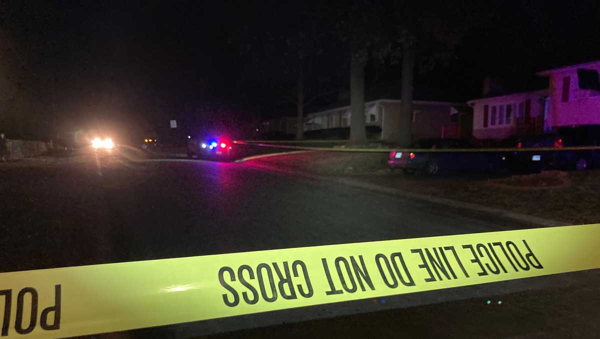 Raytown, Missouri police investigate an apparent murdersuicide